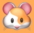 WWW,xxx52·COM网站APP