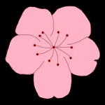 9·1安装免费版
